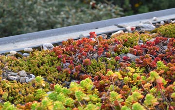 the cost of Marchwiel green roof installation