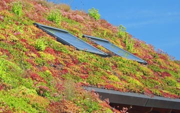 Marchwiel living roof systems