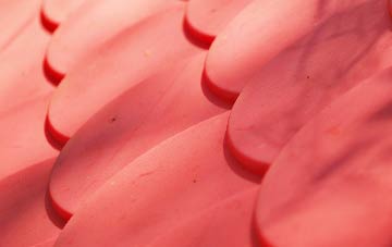 Marchwiel plastic roof costs