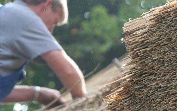 professional Marchwiel thatchers